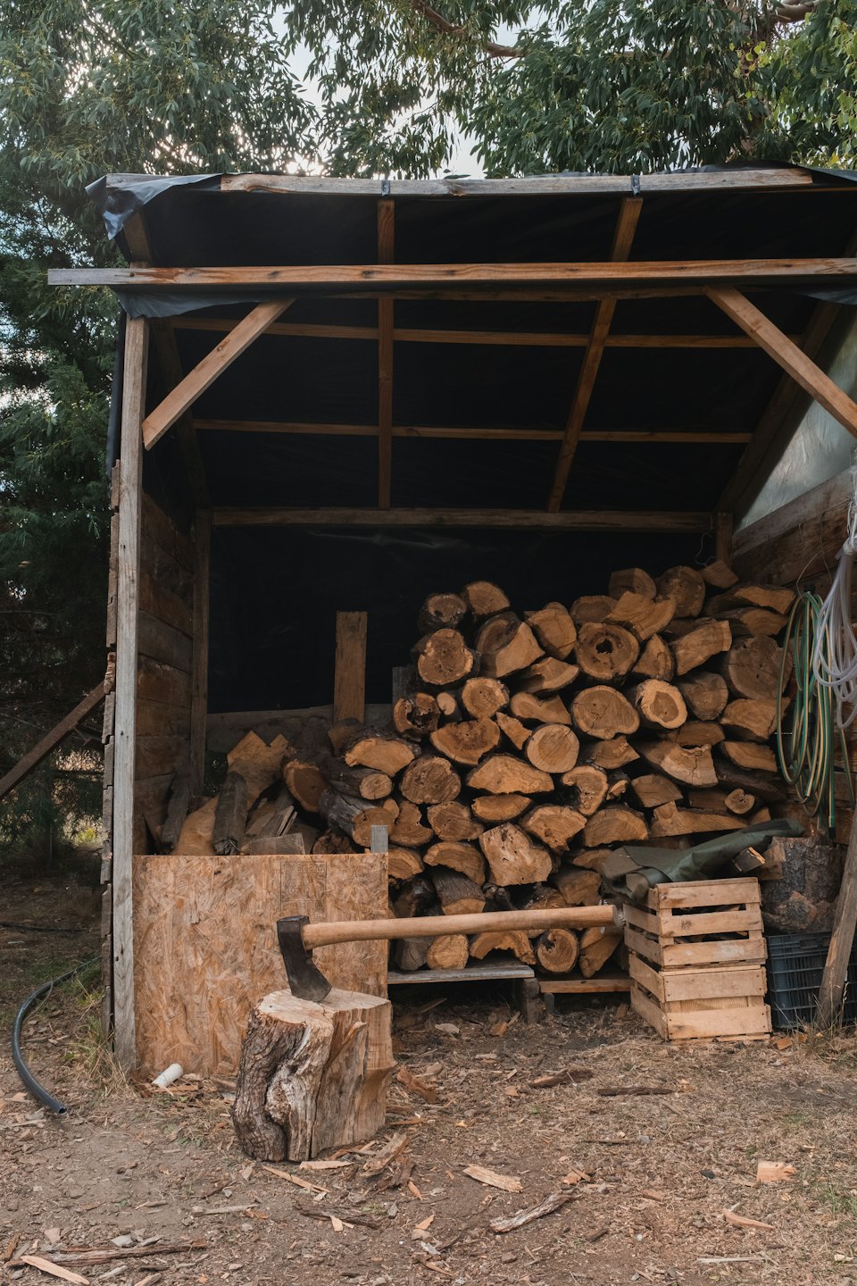 A rustic wooden shed filled with neatly stacked firewood logs.