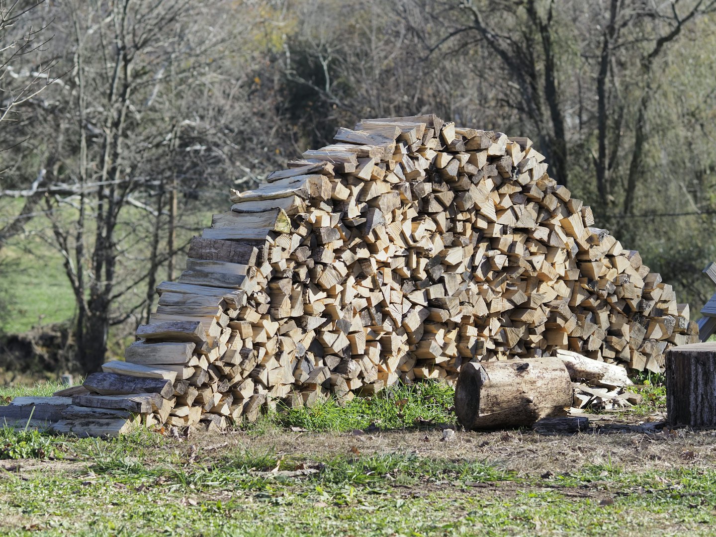 Split firewood is stacked in a pile near a tree stump.