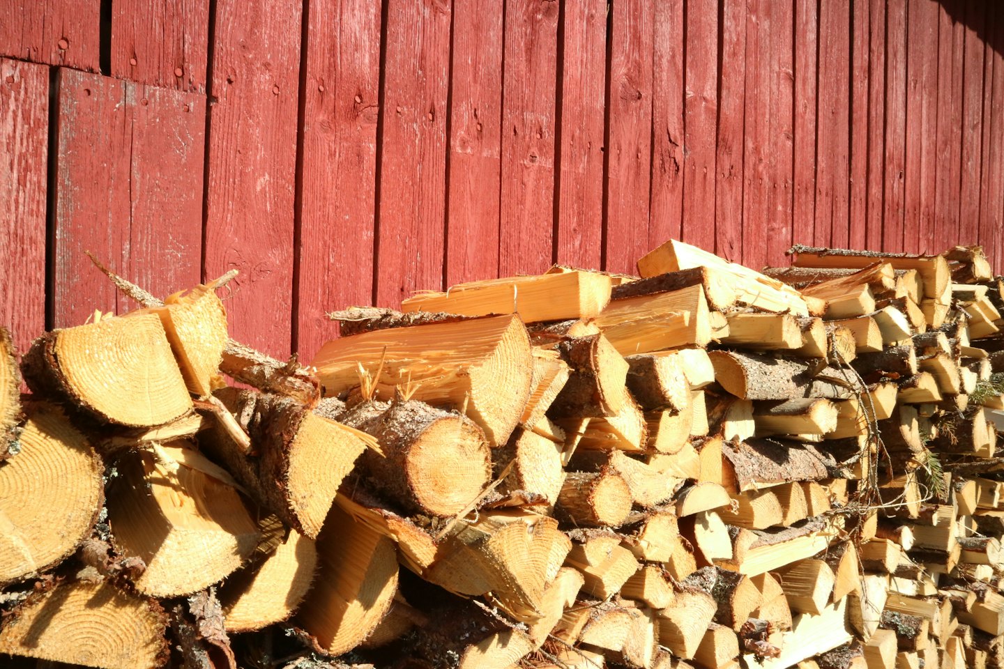 Stacked firewood piled against a rustic red wooden wall.